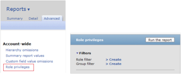 finding the role privileges report in the advanced account-wide reports tab