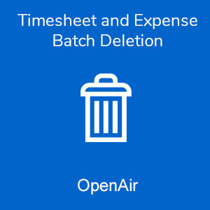 Timesheet and Expense Batch Deletion