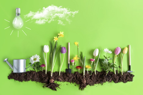 Spring Into The Year With These Three Cool New NetSuite OpenAir Features