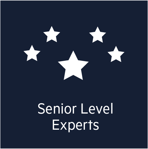 Senior Level Experts