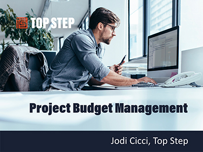 Project Budget Management in OpenAir