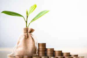 seedling growing next to stacks of change