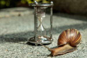 Dark achatina snail with Dark shell crawling on the Stone floor near Hourglass. Deadline concept and Slow current time.