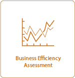 Business Efficiency Assessment